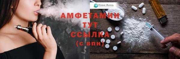 хмурый Нея