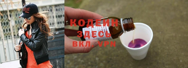 хмурый Нея