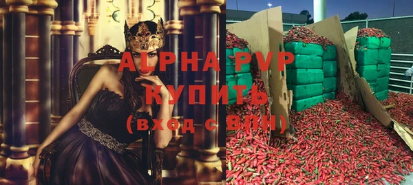 хмурый Нея