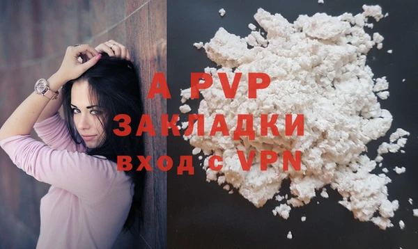 хмурый Нея
