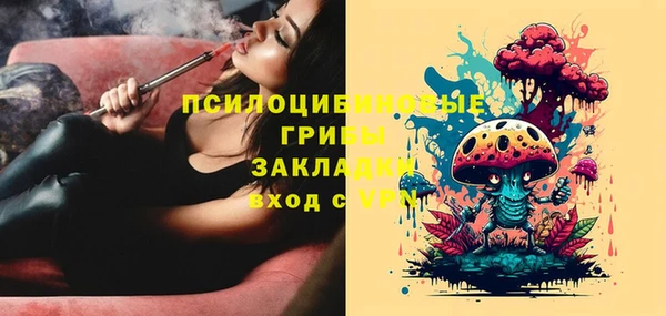 каннабис Новозыбков