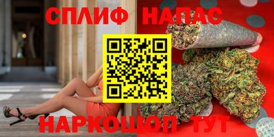 гидра Волгодонск