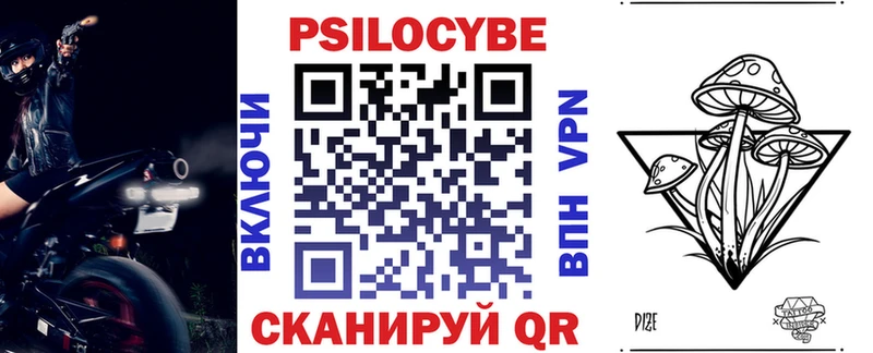 как найти Красноярск Галлюциногенные грибы Psilocybe