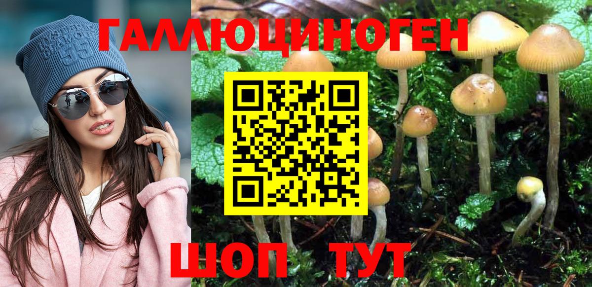 магазин    Вход с VPN  Красноярск  Псилоцибиновые грибы ЛСД 