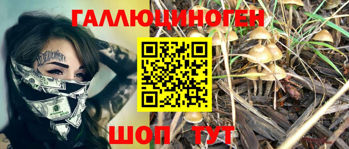 Псилоцибиновые грибы ЛСД  Красноярск 