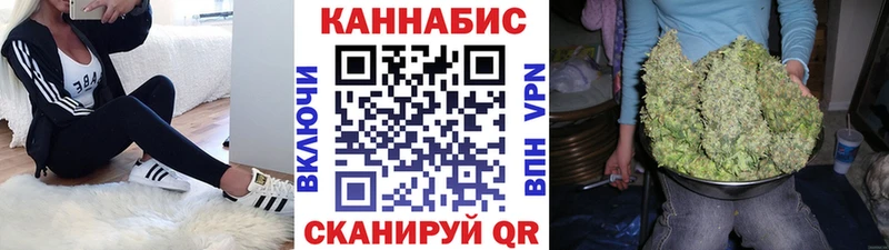 кракен сайт  Красноярск  Бошки марихуана тримм 